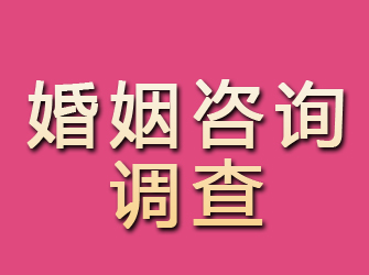 平果婚姻咨询调查